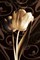 Floral Eloquence II Poster Print by Ily Szilagyi - Item # VARPDXSIP222